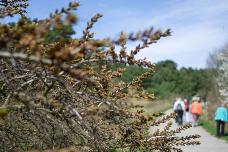 Yoga, Fasten & Wandern „R&R Hotel Störtebeker Ostseebad Baabe“ vom 01.03.2025 bis 08.03.2025