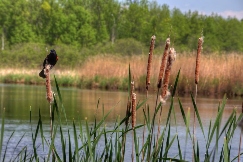 Yoga, Fasten & Wandern Haus „Seeadler“ in Sellin vom 17.04.2021 bis 24.04.2021