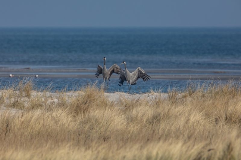 Yoga, Fasten & Wandern Strandhotel