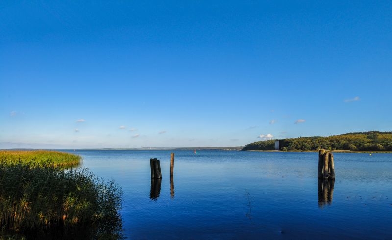 Blick auf Bodden mit Anlegepfählen