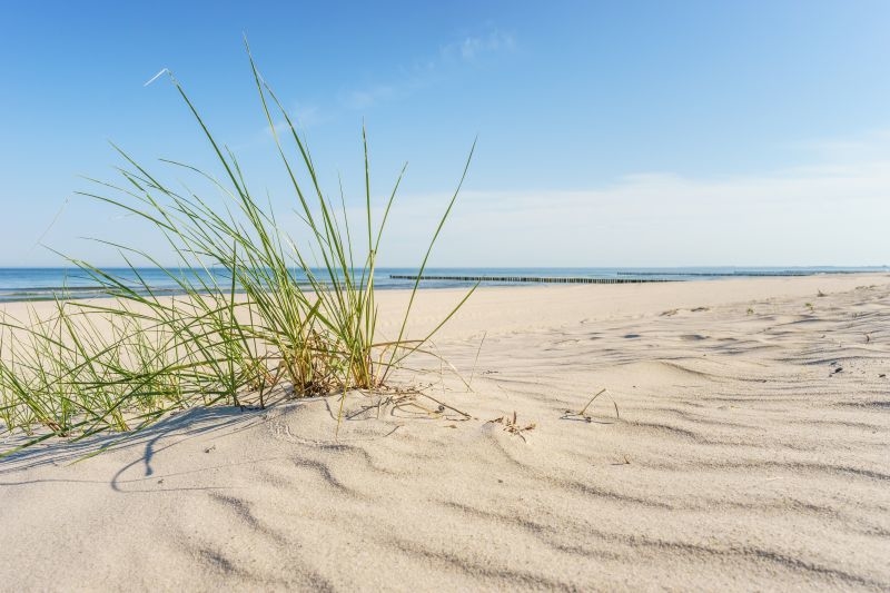 Yoga, Fasten & Wandern „R&R Hotel Störtebeker Ostseebad Baabe“ vom 26.10.2024 bis 02.11.2024